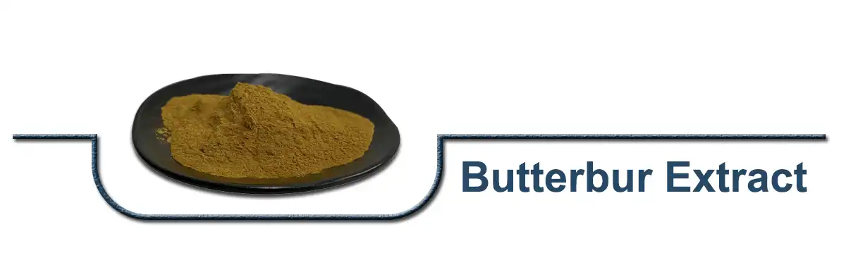 Butterbur Extract.jpg